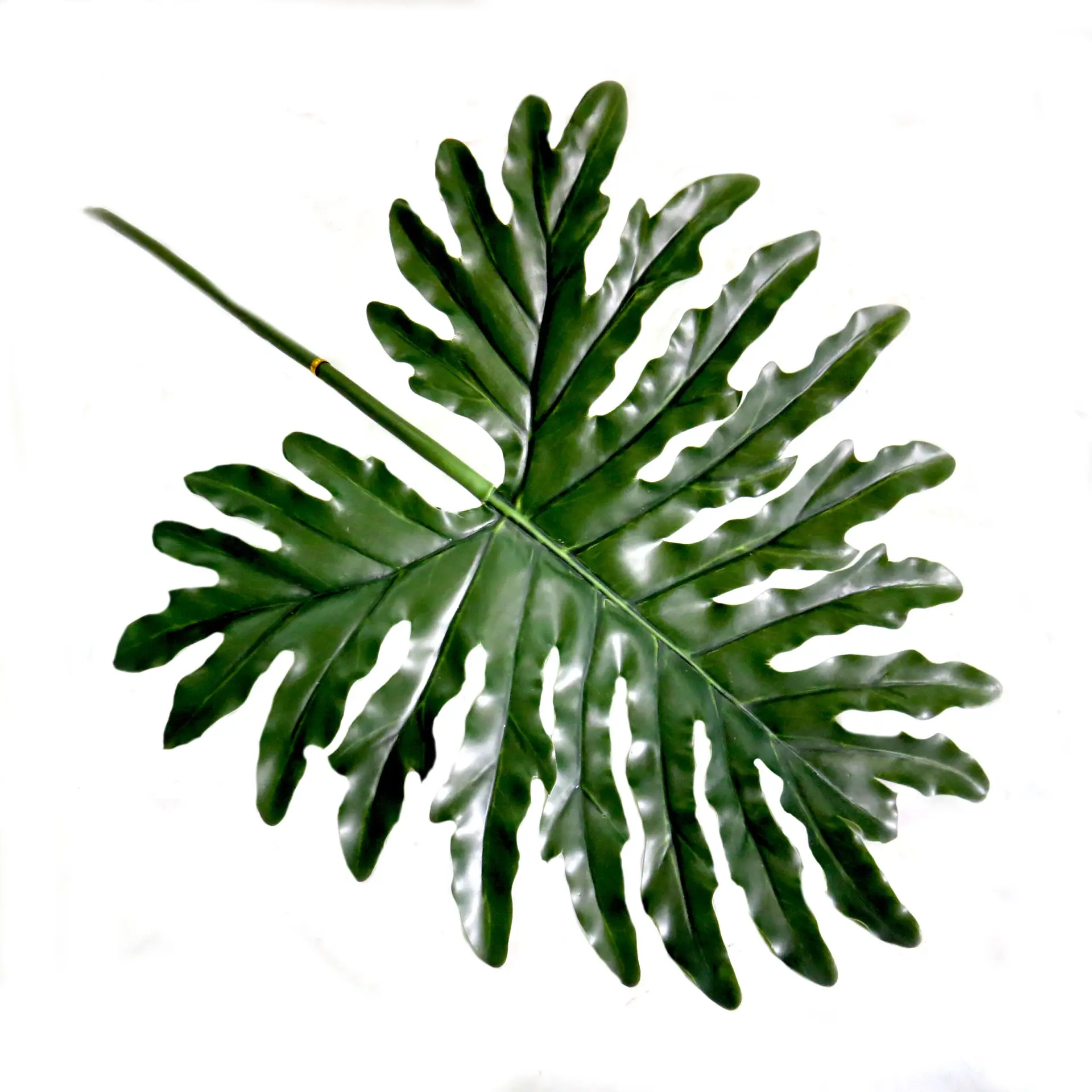 Philodendron leaf 68cml