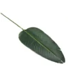 Giant bird of paradise leaf 110cml