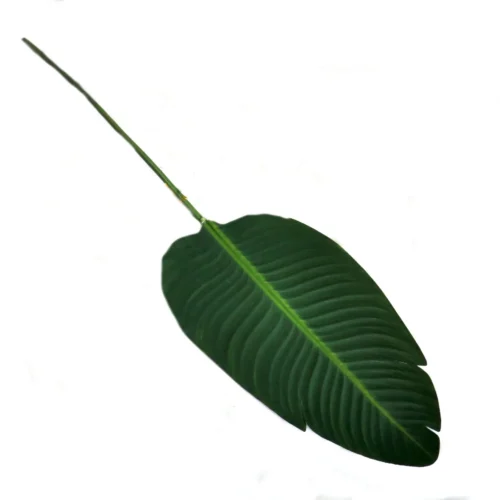 Giant bird of paradise leaf 91cml
