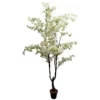 Blossom tree white 195cmh