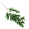 Olive stem with fruit 85cml