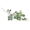 Green dollar leaf 89cm