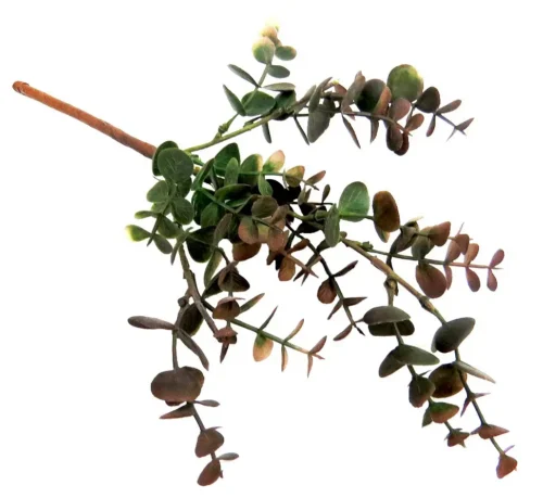 Ciderleaf Bunch