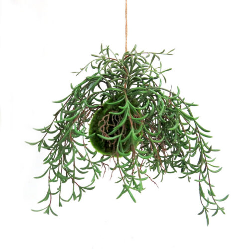 Nuclea growth ball