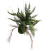 Fern ball majesty