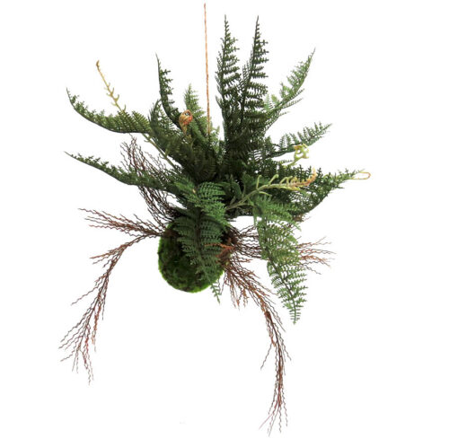 Fern ball majesty