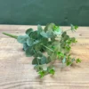 Eucalyptus spray grey green 50cml