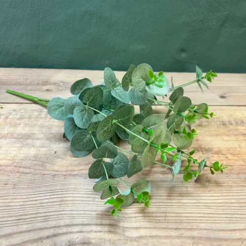 Eucalyptus spray grey green 50cml