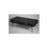 Gianna Coffee Table