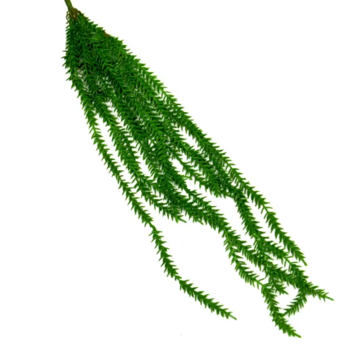 Longchamp vine