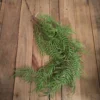 Twirly twig vine