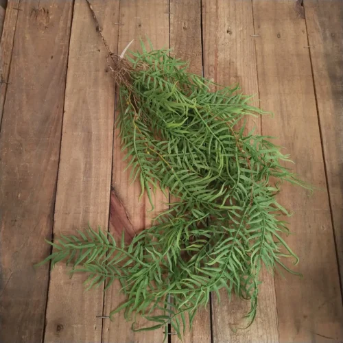 Twirly twig vine