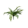 Fern woodland