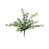 Fern terrestrial