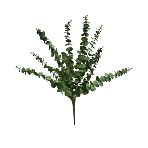 Eucalypt bunch
