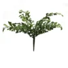 Fern buckler