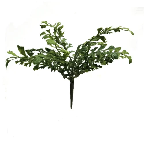 Fern buckler