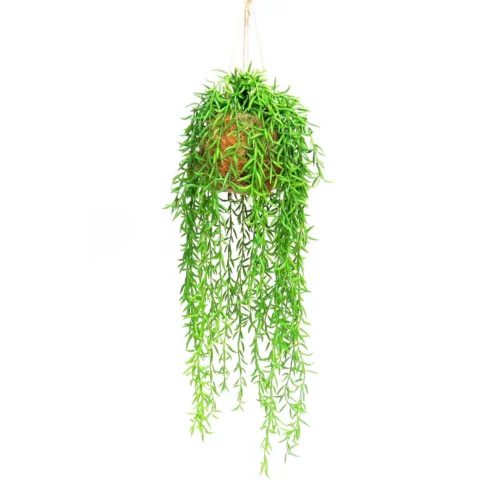 Nicklestring hanging ball.