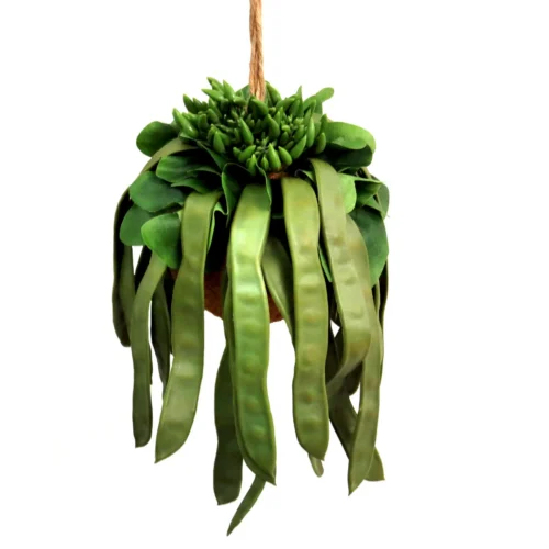 Pod plant ball