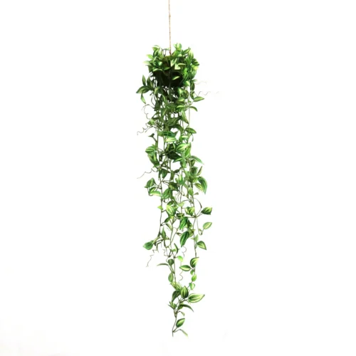 Zezebrina hanging plant ball