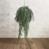 Tuscany vine hanging plant ball