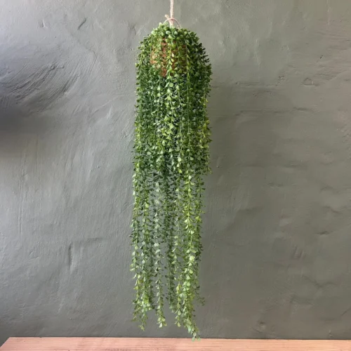 Rapunzel vine hanging plantball