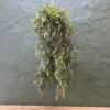 Rainforest cascade hanging plant ball
