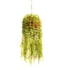 Wildchandelier ball
