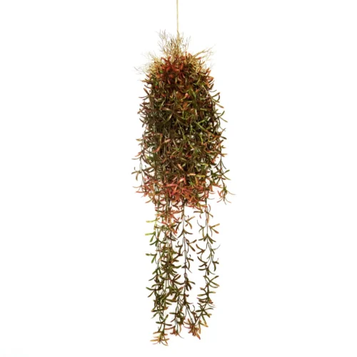 Carousel hanging ball plant