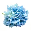 Hydrangea seablue