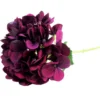 Hydrangea monsoon