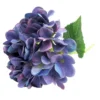 Hydrangea blueburst