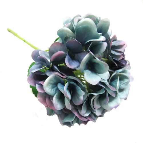 Hydrangea painters palette
