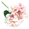 Hydrangea Pink shadow