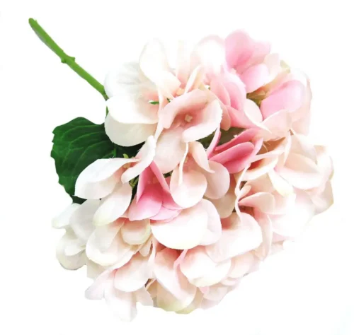 Hydrangea Pink shadow