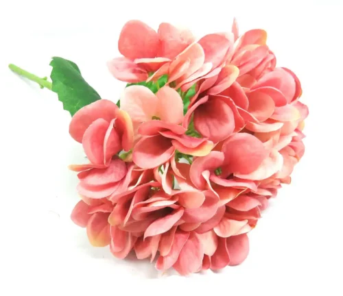 Hydrangea strawberry mousse