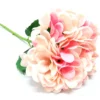 Hydrangea pink frappe