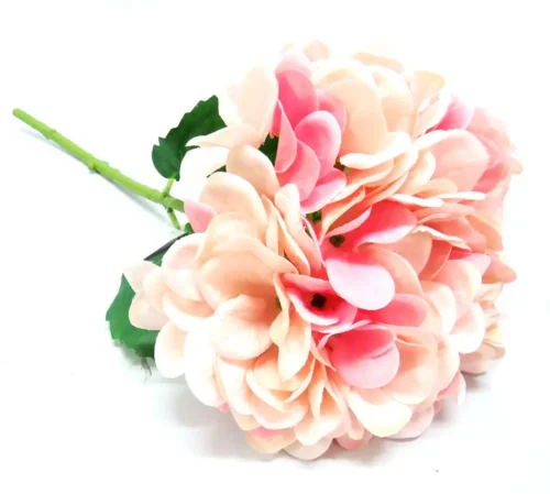 Hydrangea pink frappe