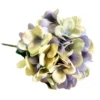 Hydrangea periwinkle