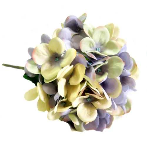 Hydrangea periwinkle