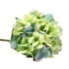 Hydrangea Monet