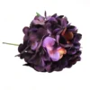 Hydrangea purple velvet
