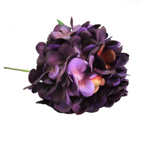 Hydrangea purple velvet
