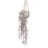 Bellebonne hanging plant in ceramic pot