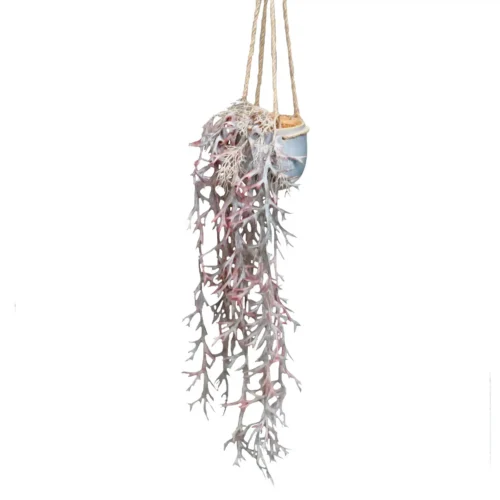 Bellebonne hanging plant in ceramic pot