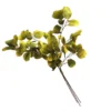 Euca bunch lime mojita