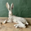 Lydia Hare
