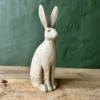 Theo Rabbit