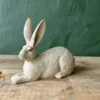 Amelia Rabbit
