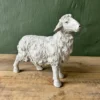Edward the sheep